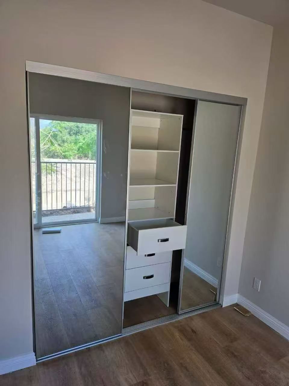 Closet Door - Mirror
